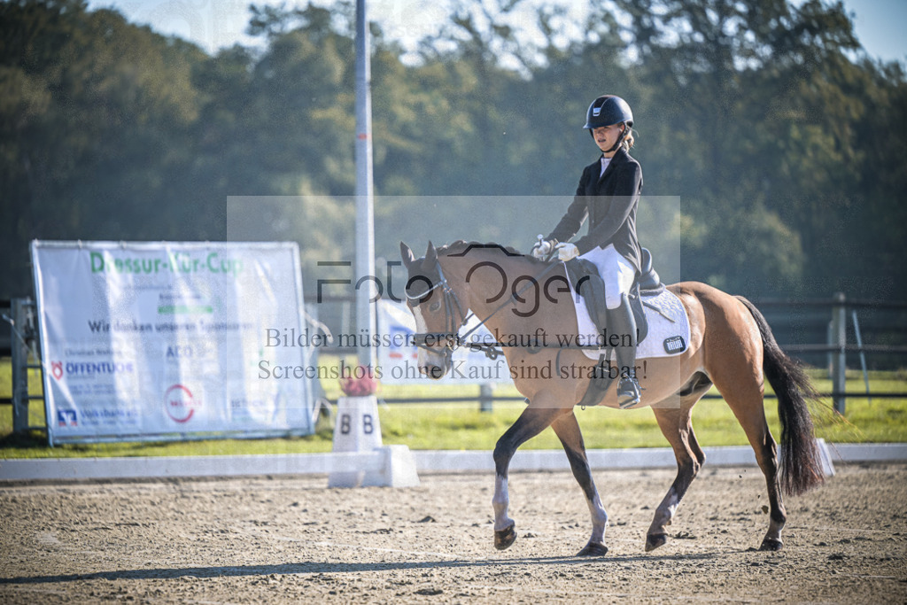 DOS_1265 | Entdecke hochwertige Reitturnierfotos von Foto Oger. Professionell, emotional und authentisch – jetzt Lieblingsmomente im Shop bestellen.Deutschlandweite Turnierfotografie. - Realisiert mit Pictrs.com