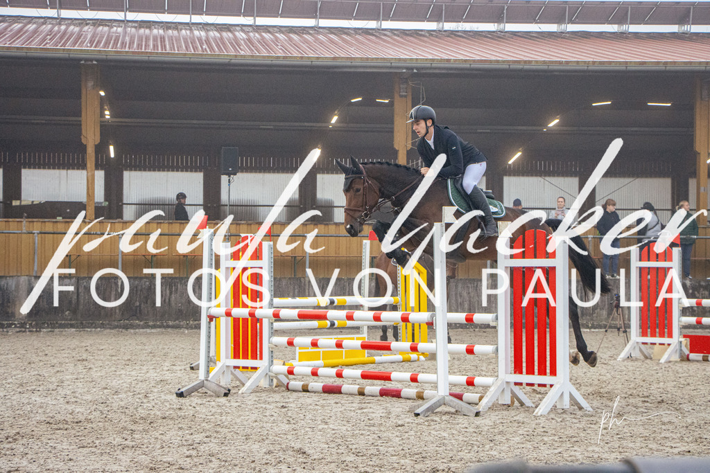 IMG_2524 | Erleben Sie dynamische Sport- und emotionale Tierfotografie in Süddeutschland mit Fotos von Paula. Spezialisiert auf Pferde- und Hundefotografie sowie Sportevents. Kontaktieren Sie mich für einzigartige und ausdrucksstarke Bilder Ihrer besonderen Momente. - Realisiert mit Pictrs.com