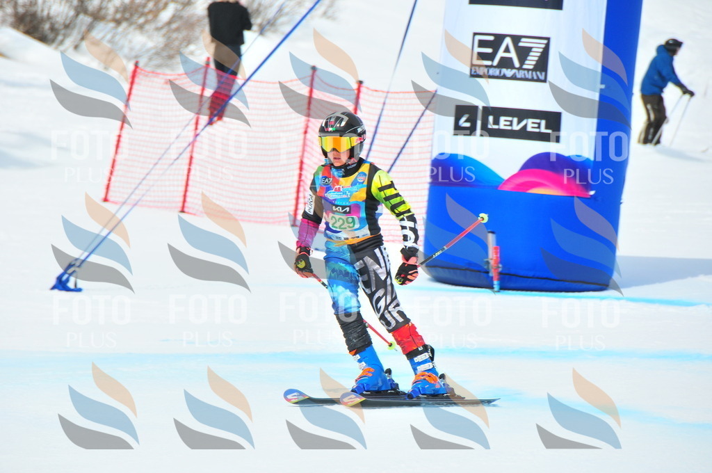 DSC_2125 | holidayphoto