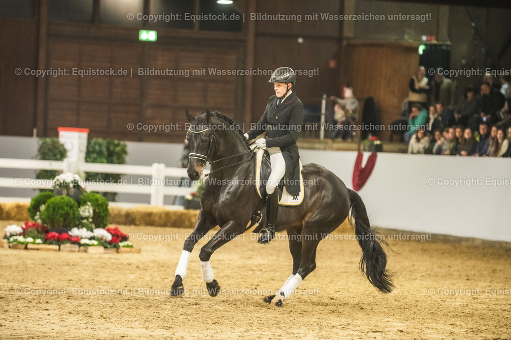 20240302_Hengstvorstellung_Marbach_TOMsPiC_1441 | equistock