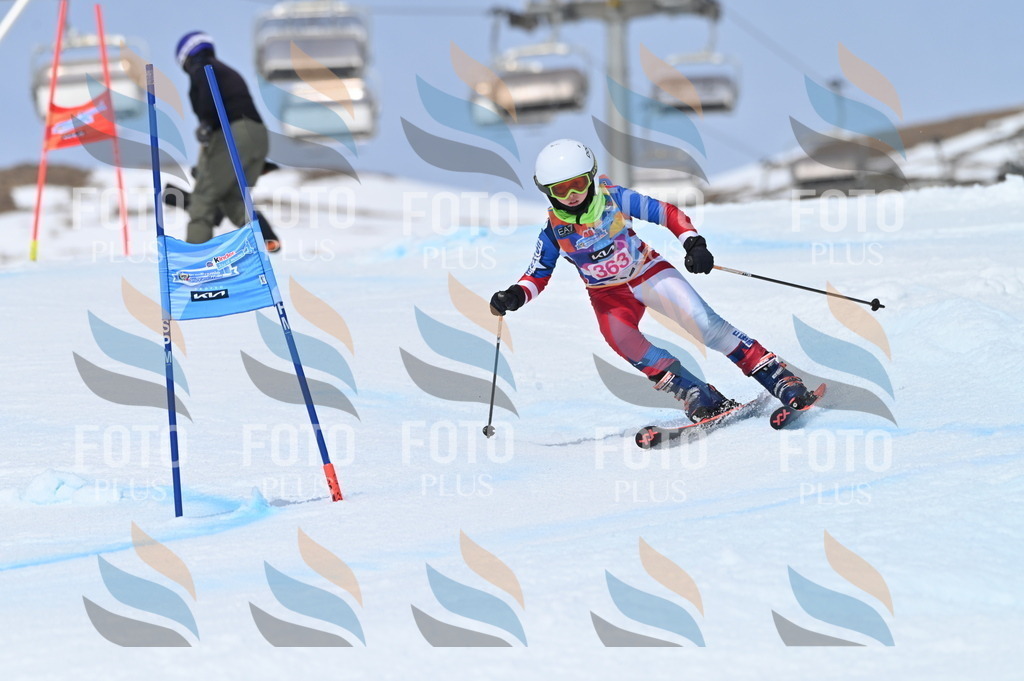 BGV_3895 | holidayphoto