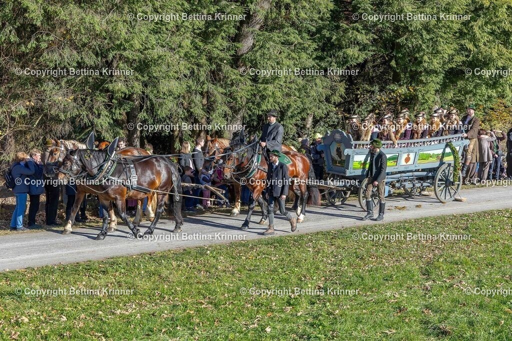 LBT25-504 | foto-bettina-krinner - Realisiert mit Pictrs.com
