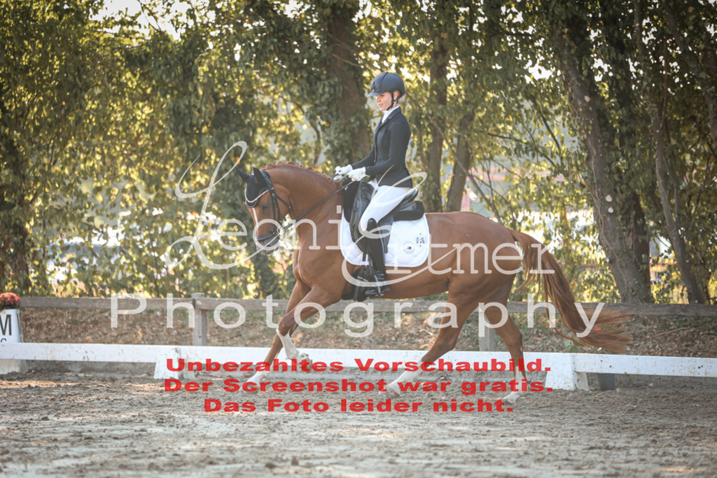 02.SaDrA00212 | Leoni Ertmer Photography - Realisiert mit Pictrs.com