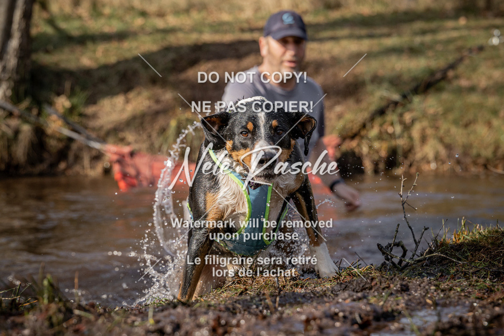 nelerasche_FS1330-1400_145 | nelerasche