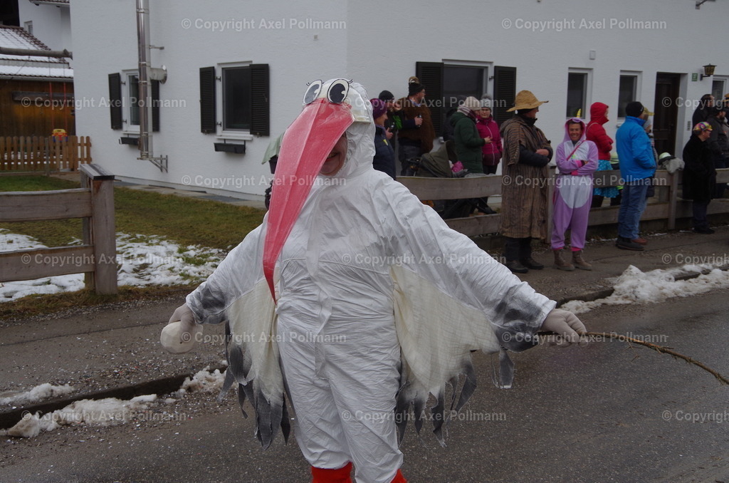 IMGP3385 | fotografiert von Axel PollmannLeonhardi Wallfahrt Benediktbeuern und Murnau, Fronleichnam, Fasching, Landschaft im Loisachtal und Benediktbeuern  - Realized with Pictrs.com