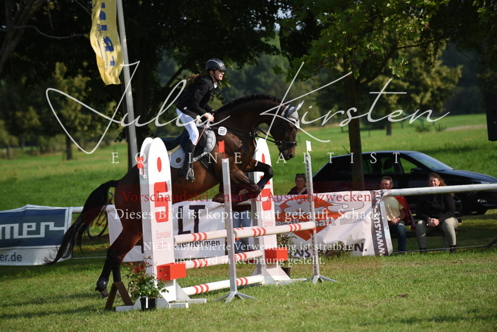 DSC_8674 | Pferde- und Turnierfotografie in Westsachsen. Pferdeportraits, Auftragszeichnungen und intuitive Kunst.