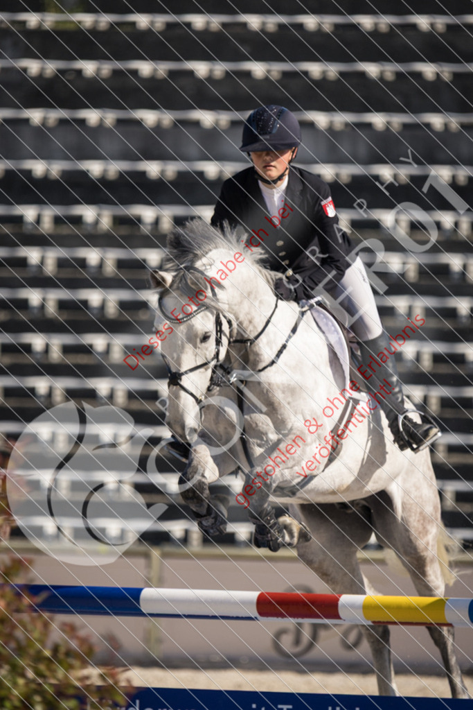 IMG_2980 | Sport-, Event- und Tierfotos in Profiqualität. Einfach auswählen, bestellen und herunterladen. Dein Moment – perfekt festgehalten.