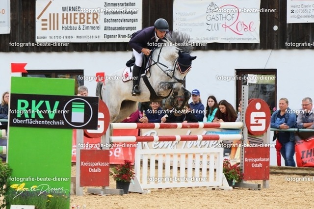 OHT2041 | Fotografie, Tiere, Hunde, Katzen, Pferde, Sportfotografie, Fotosession, Tierfotografie, Turnierfotografie, Fotografin, Fotograf - Realisiert mit Pictrs.com