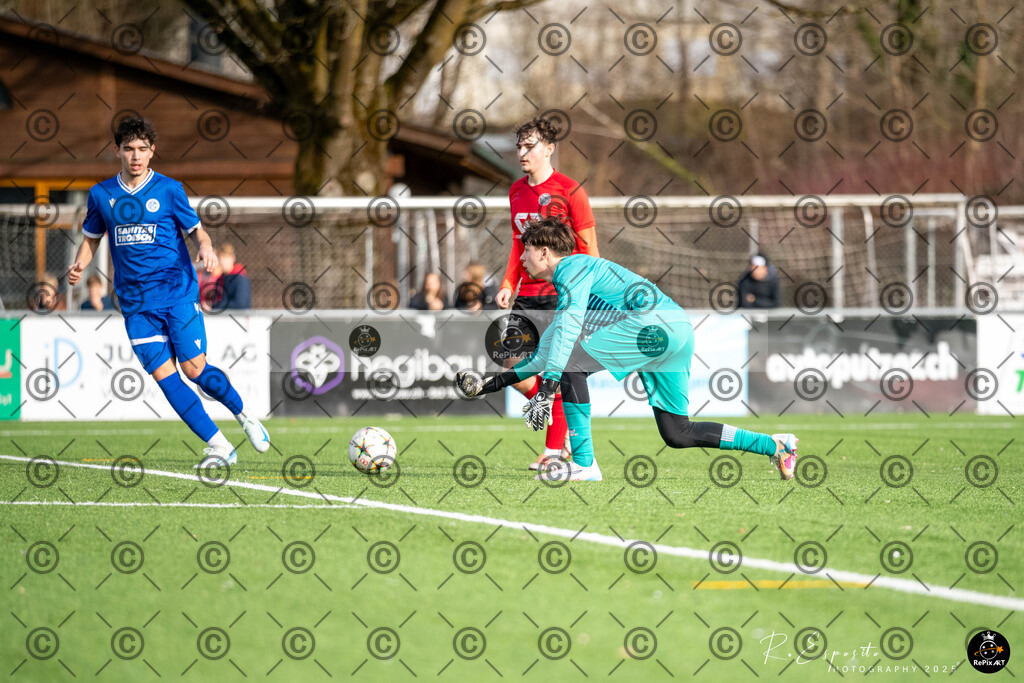 20250125_FCR-Ba vs Basel_032 | Sport und Naturfotografie von Roberto Esposito zeigt echte Momente Bewegung und die Schönheit der Natur. Ausdrucksstarke Bilder schaffen Emotionen.