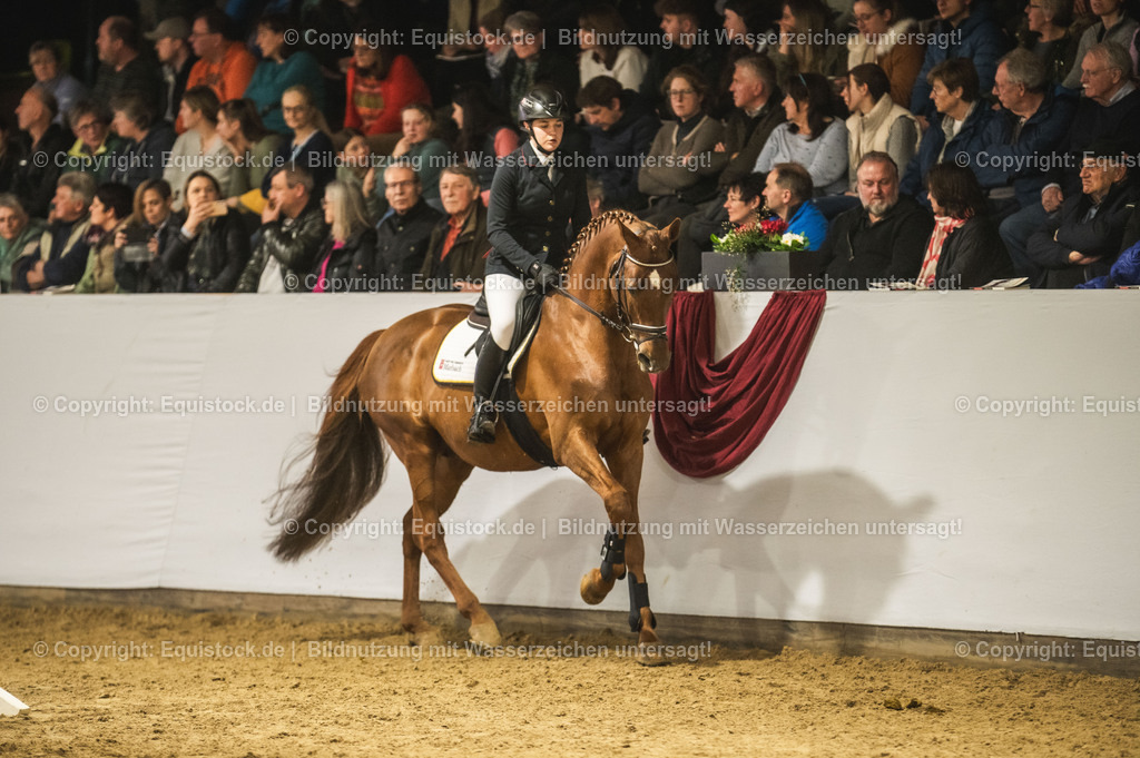 20240302_Hengstvorstellung_Marbach_TOMsPiC_1350-2 | equistock