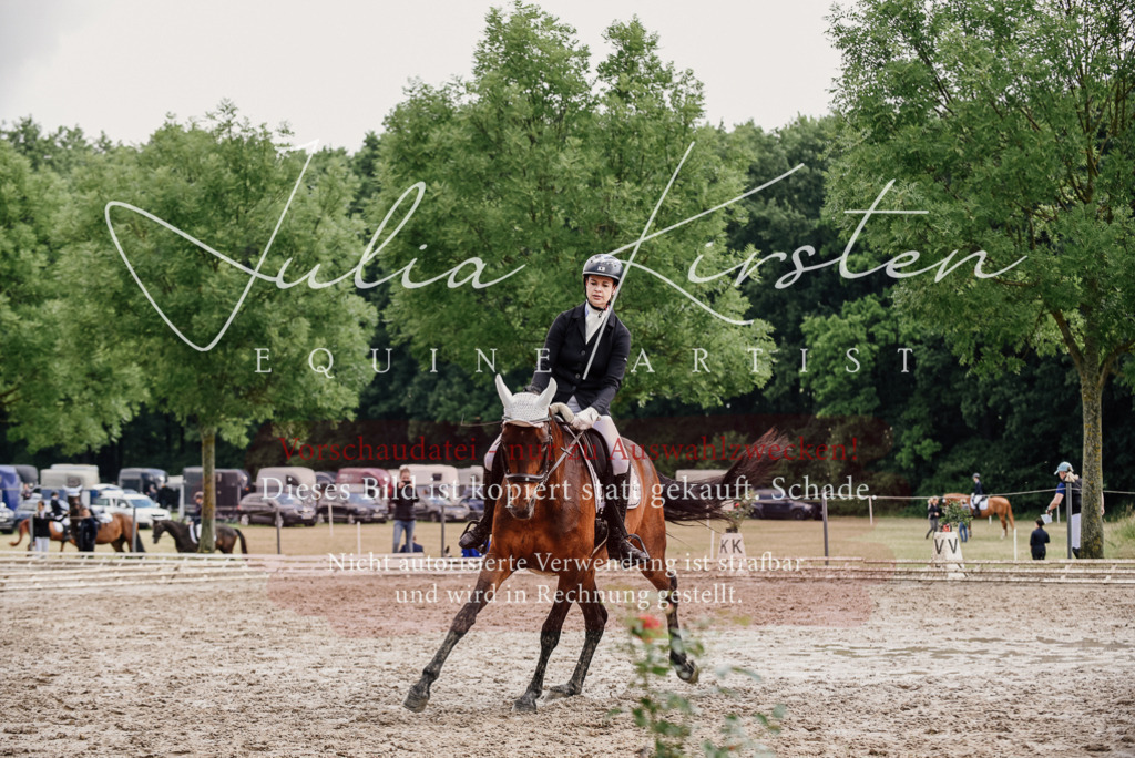 DSC_9854 | Pferde- und Turnierfotografie in Westsachsen. Pferdeportraits, Auftragszeichnungen und intuitive Kunst.