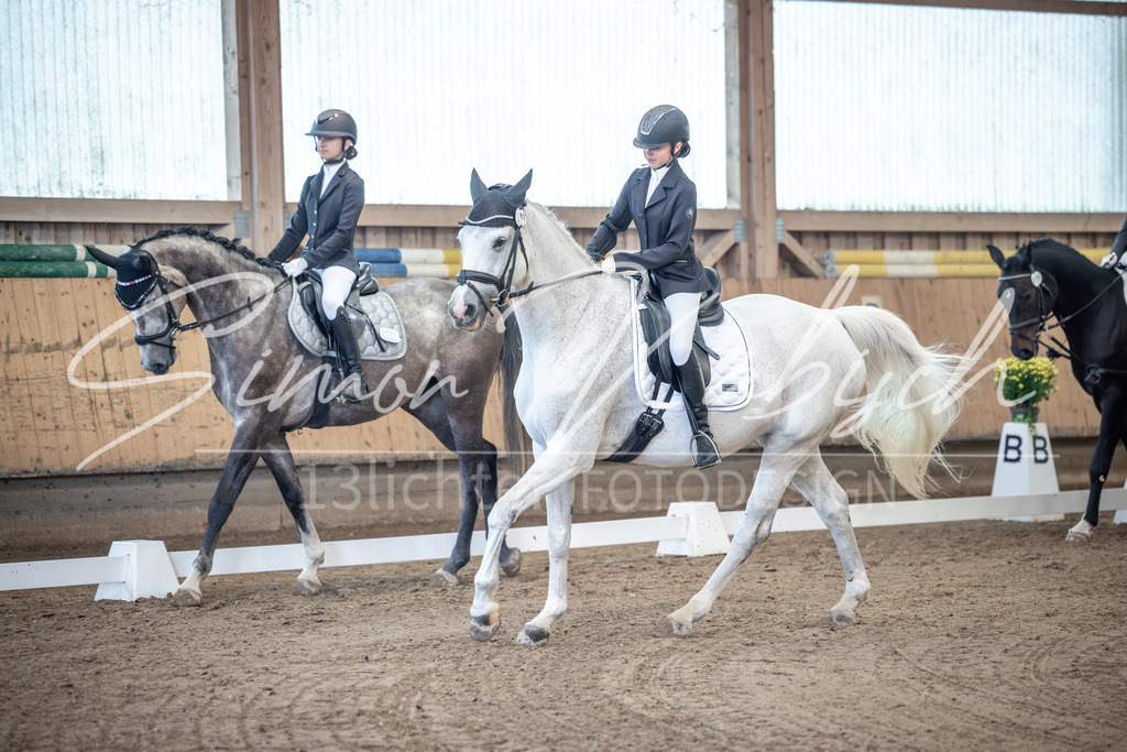 20251011-_3LI7709 | Tierfotografie Pferde, Hunde, Katzen, Haustiere.
Turnierfotografie Reitturniere, Reiten, Springreiten, Dressur in Hanau, dem Main-Kinzig-Kreis und dem Rhein-Main- Gebiet um Frankfurt
