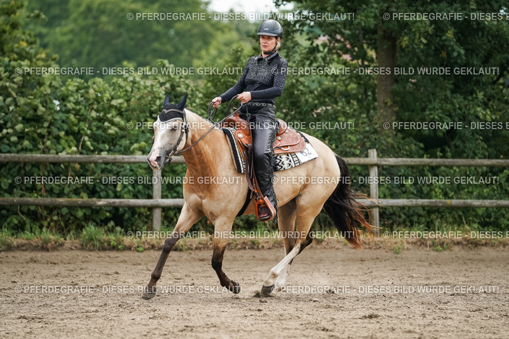 DSC03736 | Pferdegrafie