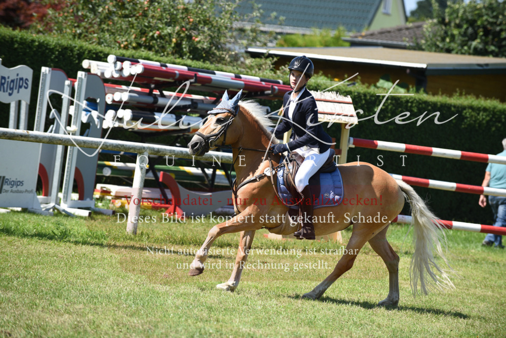 DSC_9616 | Pferde- und Turnierfotografie in Westsachsen. Pferdeportraits, Auftragszeichnungen und intuitive Kunst.
