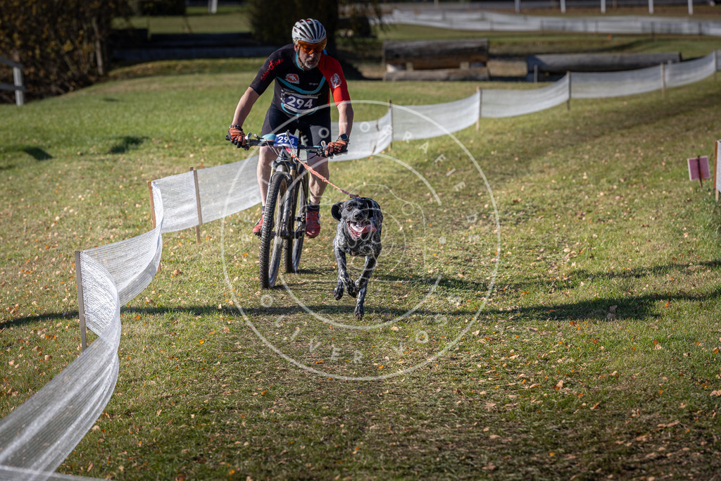 CaniXpix_DV3A5905 | Hundefotografie, Tierfotograf, Pfotenfotografie, Fotoshooting Hund, Hunde Portrait, Hundesport, Hundeportraits, Heideshooting, Hunde, Sportfotograf, Hundefotograf, Turnierhundsport, THS,  - Realisiert mit Pictrs.com