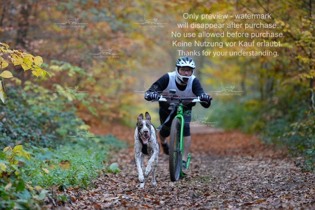 Scooter_So-18 | stephaniefillaphotographie - Realisiert mit Pictrs.com