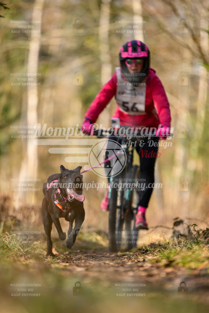 MompixPhotography_6ReiatRennen2026_SO_Bike-79 | PayLife