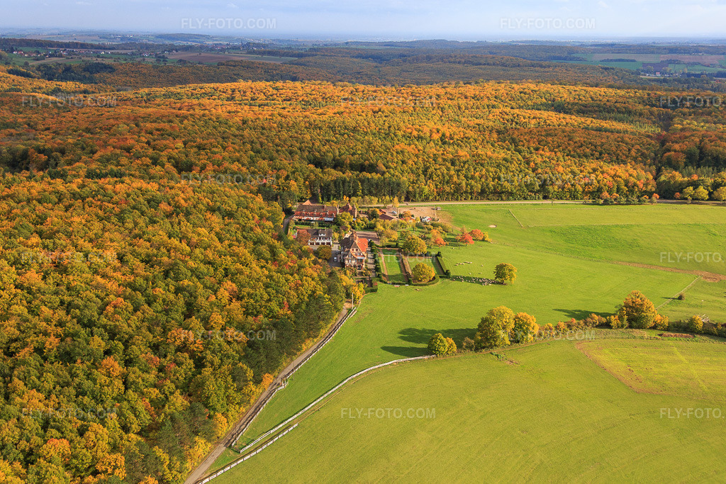 Aerial view: Villa Le Riesack in Niederbronn-les-Bains in the state Bas-Rhin, France. – Photo: IMG_084729.jpg taken on 10/23/2015 by Werner Riehm/FLY-FOTO.com – Resolution of the original: 5472 x 3648 px – Gite de groupe en Alsace. Fetes de famille. Villa le Riesack. Capacit\xc3\xa9: 30 \xc3\xa0 50 Personnes