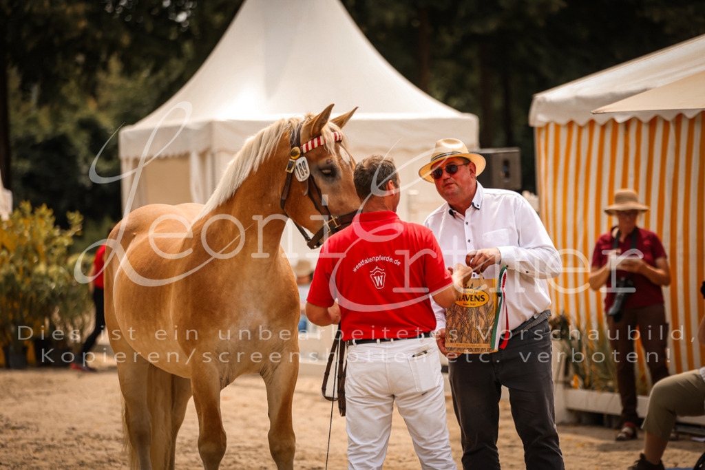 3.Sa00087 | Leoni Ertmer Photography - Realisiert mit Pictrs.com