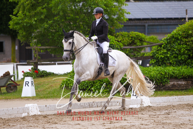 DKP40291 | Turniersportfotografie; Pferdefotografie; Dressurfotografie