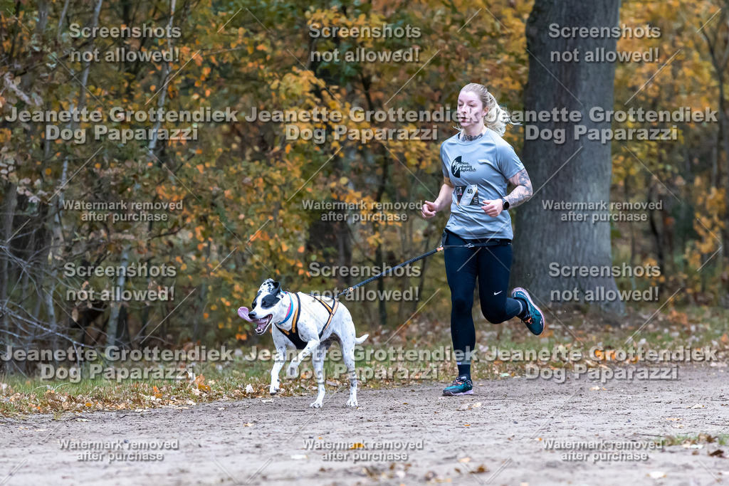 Dog Paparazzi - SD CaniX Championship 2025-309 | Dog Paparazzi Jeanette Grottendiek Fotografie & Videografie - Realisiert mit Pictrs.com