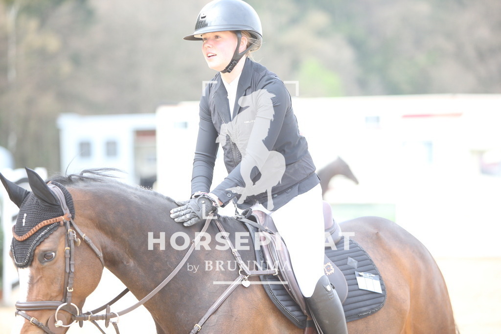 PP017174 | Willkommen bei Brunnmayr - Design & Fotografie – Ihrem Spezialisten für Reitturniere und Pferdeveranstaltungen in Oberösterreich, Salzburg und Bayern! Seit über 17 Jahren sind wir leidenschaftlich dabei.