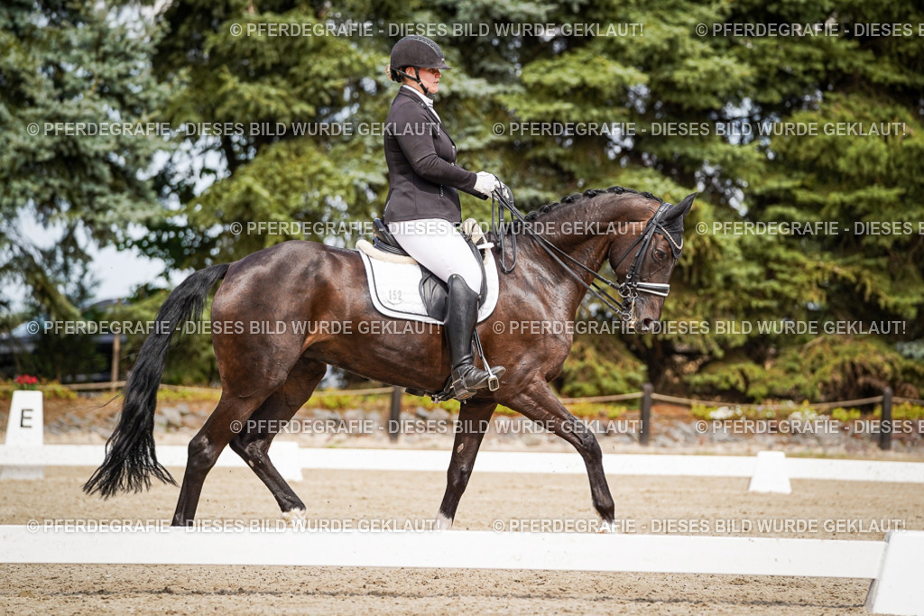 DSC05506 | Pferdegrafie