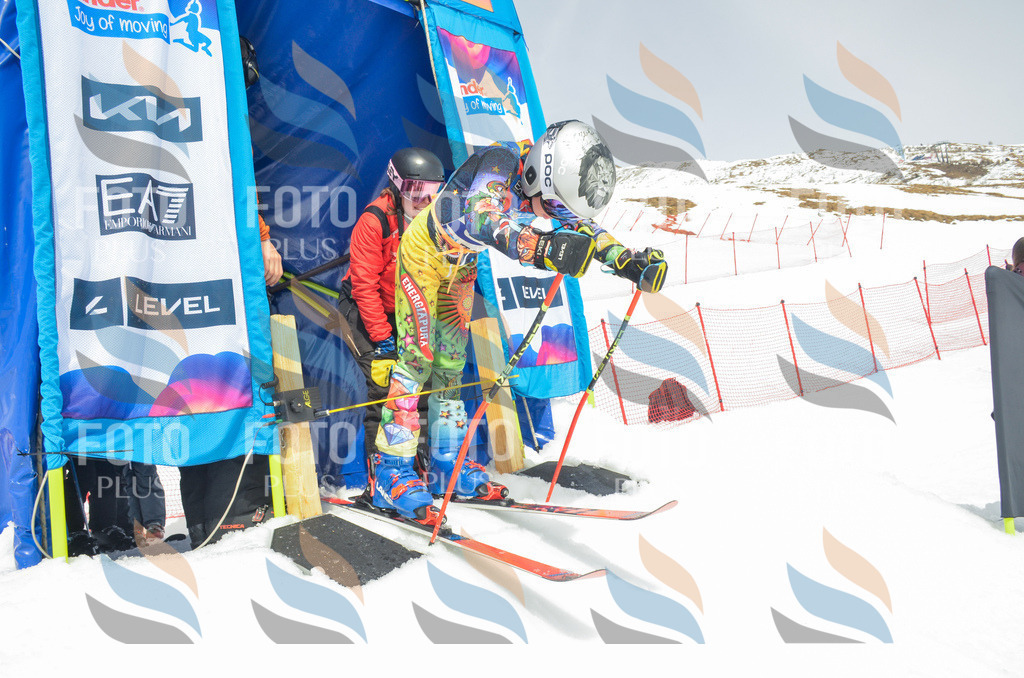 _ELE8189 | holidayphoto