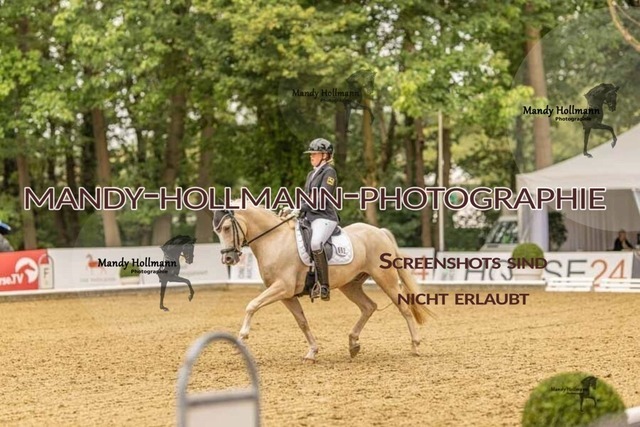 28-8-26 5j DRE-799 | mandyhollmannphotographie