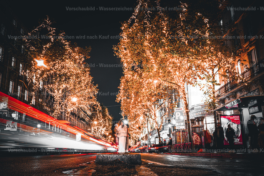 DSC09062 2 | marcuslinek