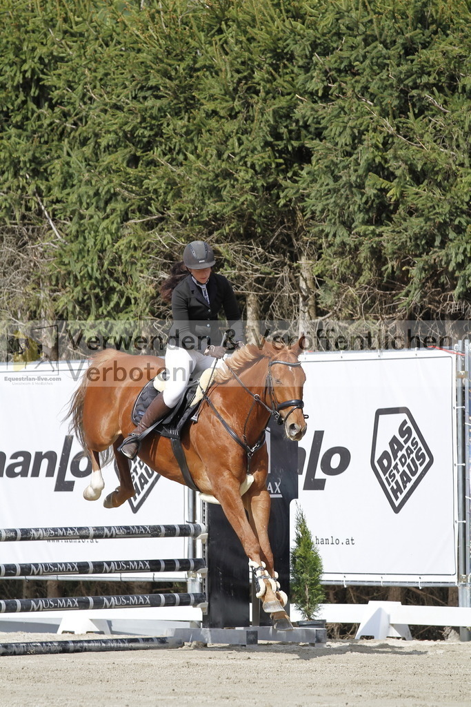 _MG_7809 | equestrian-live-com