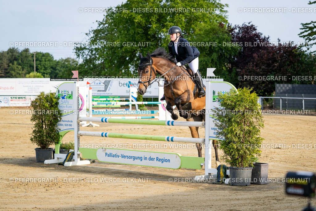 DSC02289 | Pferdegrafie