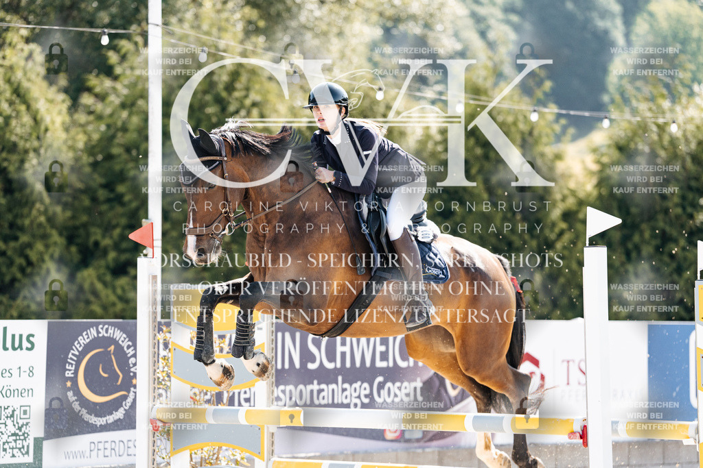 CK907819 | Turnierfotografie Pferdefotografie Trier Rheinland-Pfalz Pferdesport Reitsport Tierfotografie Sportfotografie Pferdevideo Pferdevideografie Equestrianvideography equestrianphotography  - Realisiert mit Pictrs.com