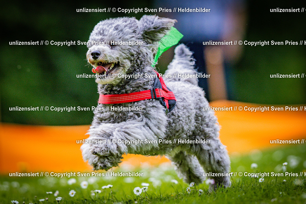 Sven Pries | 2025-05-29 - Pudelrennen KA-Durlach - Realisiert mit Pictrs.com