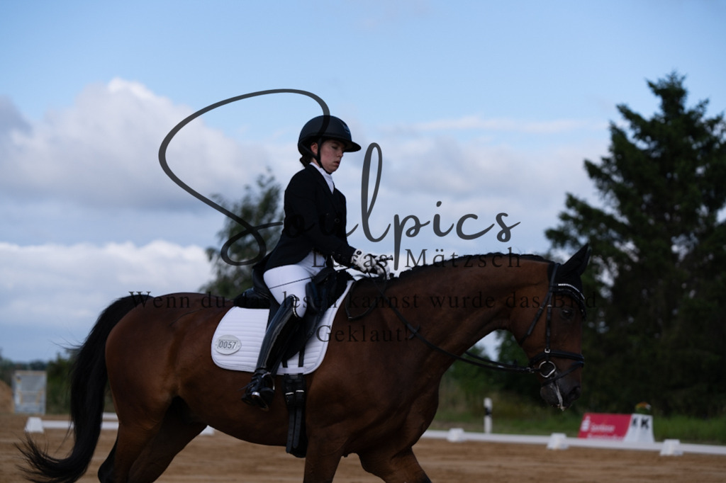 A7V05120 | Pferdefotograf