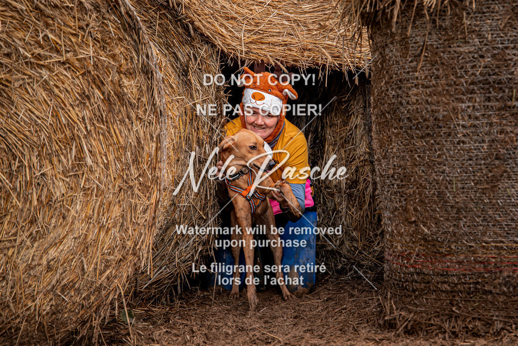 nelerasche_Hunsrück_So09-11_380 | nelerasche