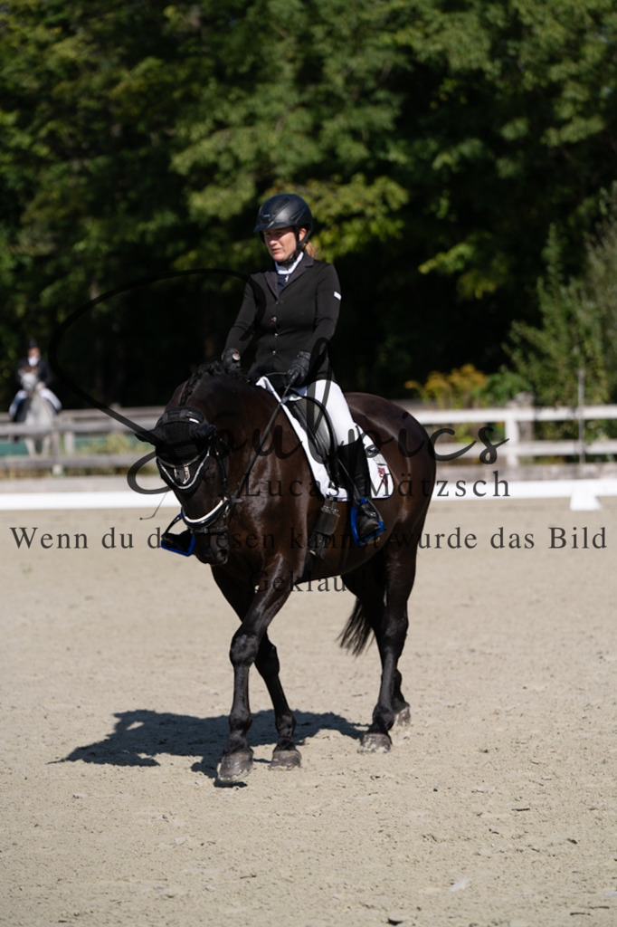 A7V06987 | Turnier/Reitfotograf