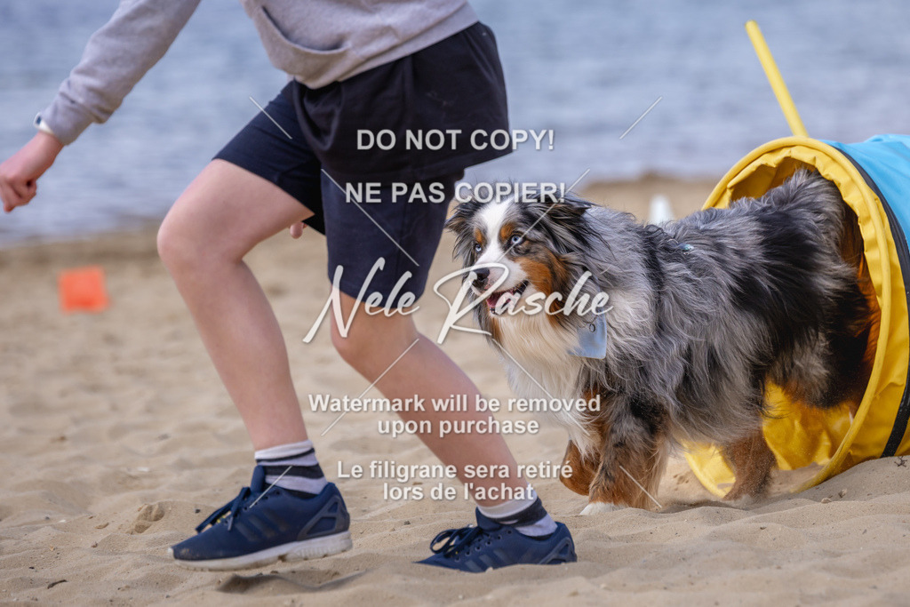 NR__2400 | nelerasche