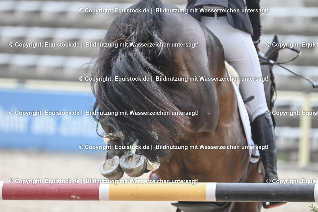 20230514_CCI4_Springen_0274 | equistock