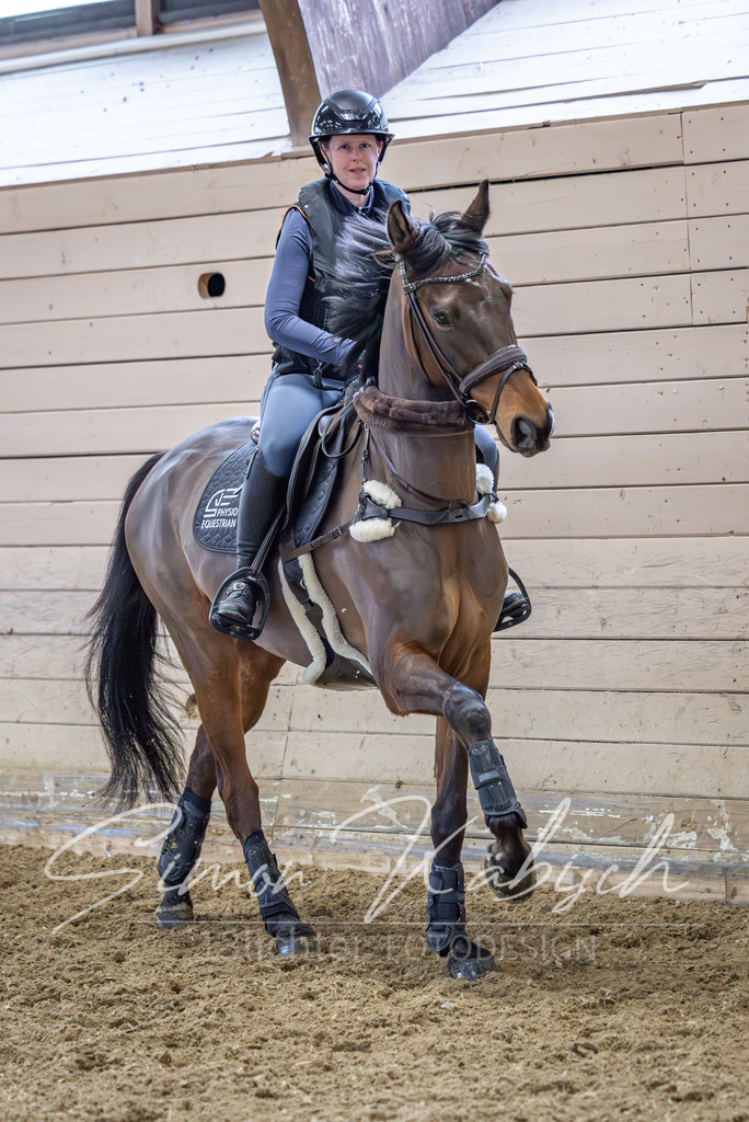 20260222-_3LI1821 | Tierfotografie Pferde, Hunde, Katzen, Haustiere.
Turnierfotografie Reitturniere, Reiten, Springreiten, Dressur in Hanau, dem Main-Kinzig-Kreis und dem Rhein-Main- Gebiet um Frankfurt