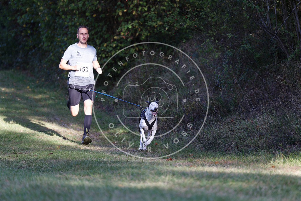 0L8A5085 | Hundefotografie, Tierfotograf, Pfotenfotografie, Fotoshooting Hund, Hunde Portrait, Hundesport, Hundeportraits, Heideshooting, Hunde, Sportfotograf, Hundefotograf, Turnierhundsport, THS,  - Realisiert mit Pictrs.com