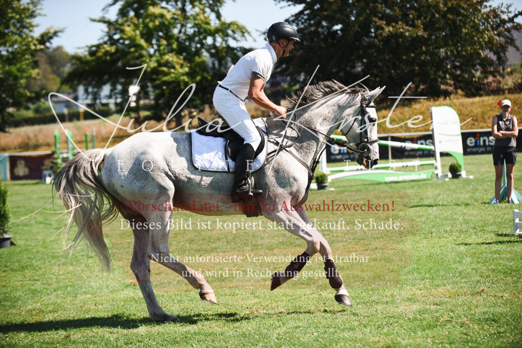 DSC_2701 | Pferde- und Turnierfotografie in Westsachsen. Pferdeportraits, Auftragszeichnungen und intuitive Kunst.