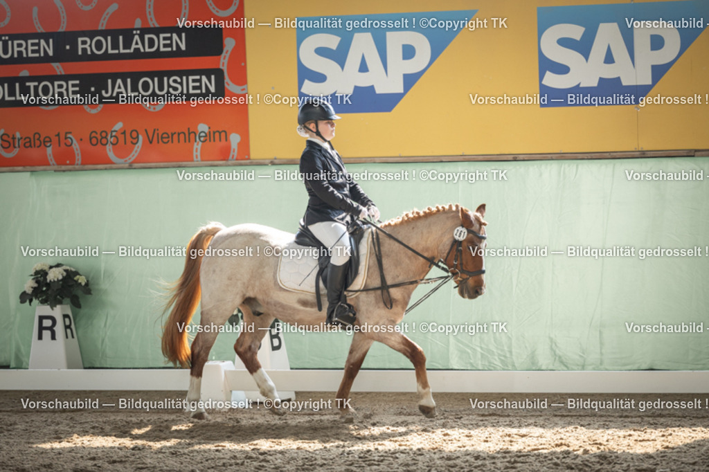 _D5A5602 | Emotionale Pferde- & People-Fotografie rund um Heidelberg, Leimen & Umgebung. Natürliche Fotos von Pferd, Mensch & Familie. Jetzt Termin sichern!