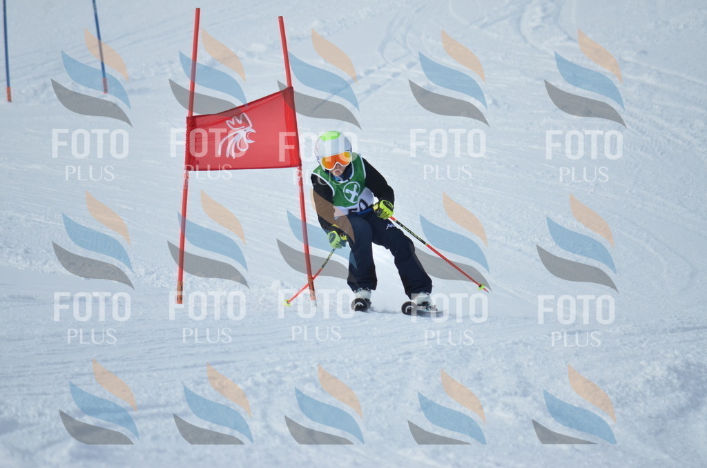 D8780 | holidayphoto