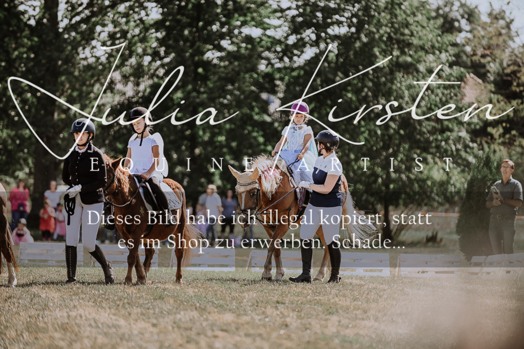 DSC_8853 | Pferde- und Turnierfotografie in Westsachsen. Pferdeportraits, Auftragszeichnungen und intuitive Kunst.
