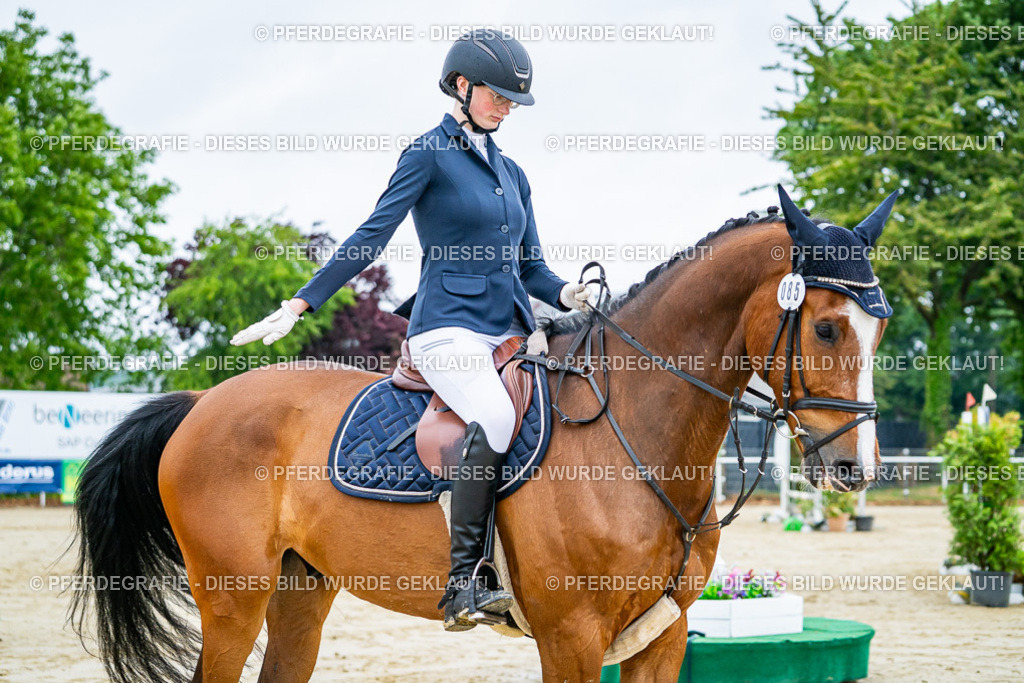 DSC02053 | Pferdegrafie