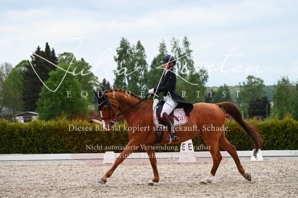 20230513_JK-Röhrsdorf-13-559 | Pferde- und Turnierfotografie in Westsachsen. Pferdeportraits, Auftragszeichnungen und intuitive Kunst.
