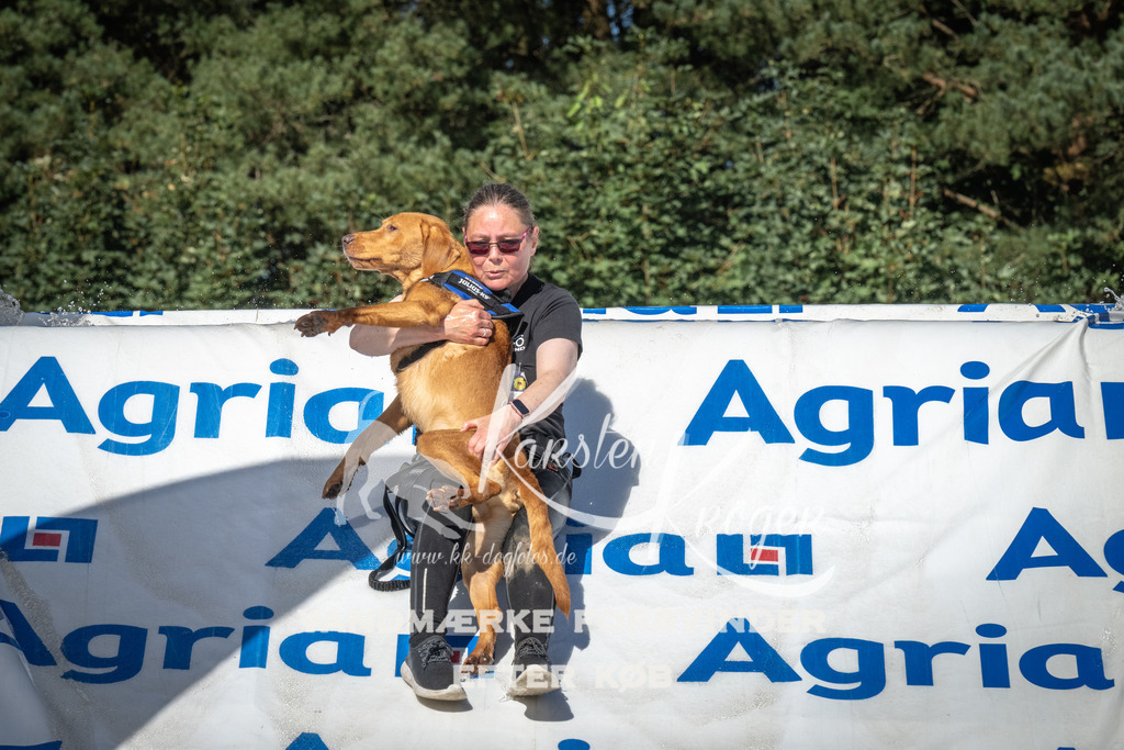 1611_ZZ99102 | kk-dogfotos