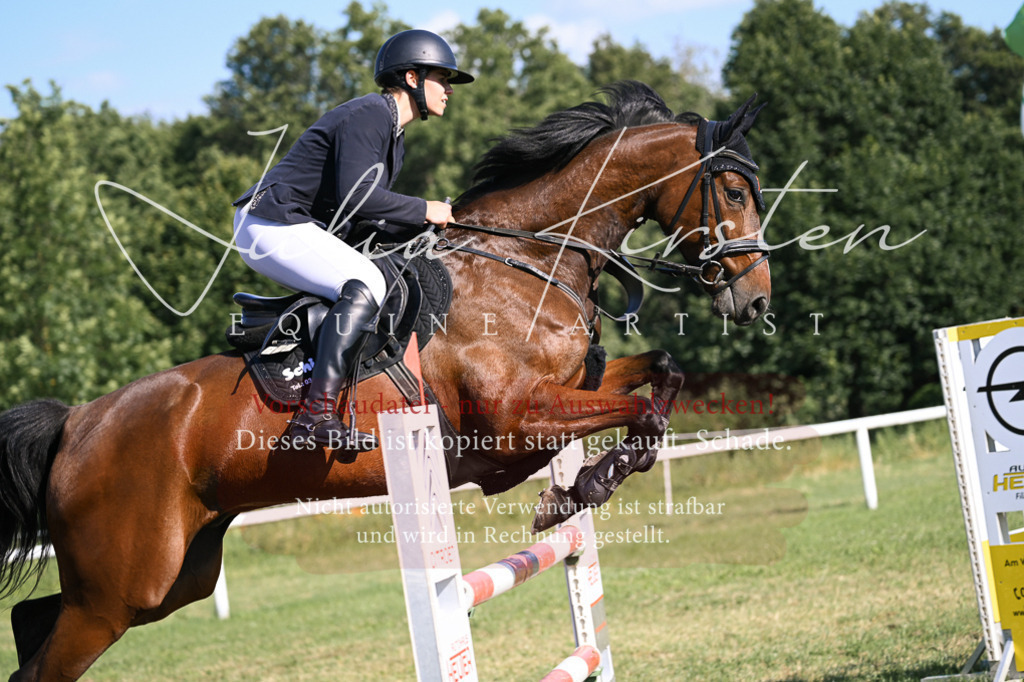 DSC_1457 | Pferde- und Turnierfotografie in Westsachsen. Pferdeportraits, Auftragszeichnungen und intuitive Kunst.