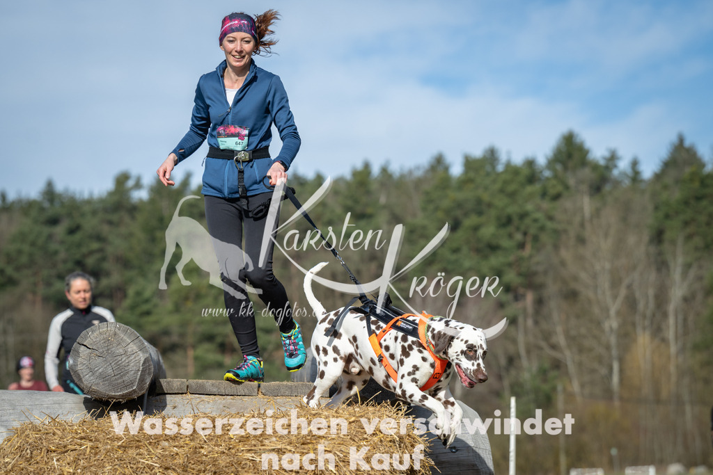 0959_ZZ97889 | kk-dogfotos